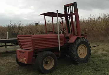 Manitou gaiathys